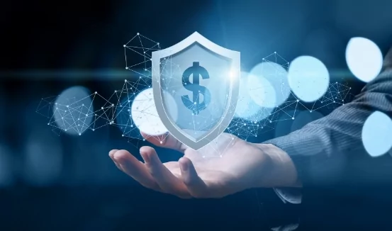 Yatırımcı Varlığının Korunması